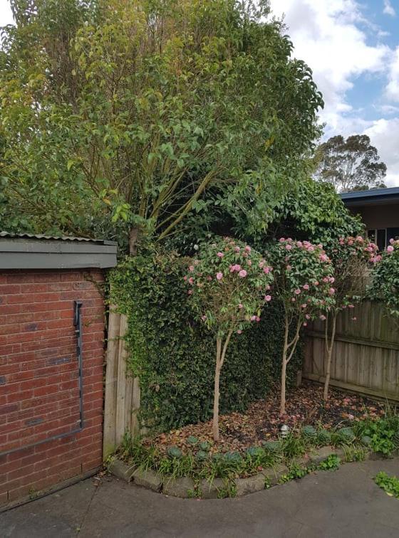 Creek Cottage Bed And Breakfast Traralgon Extérieur photo