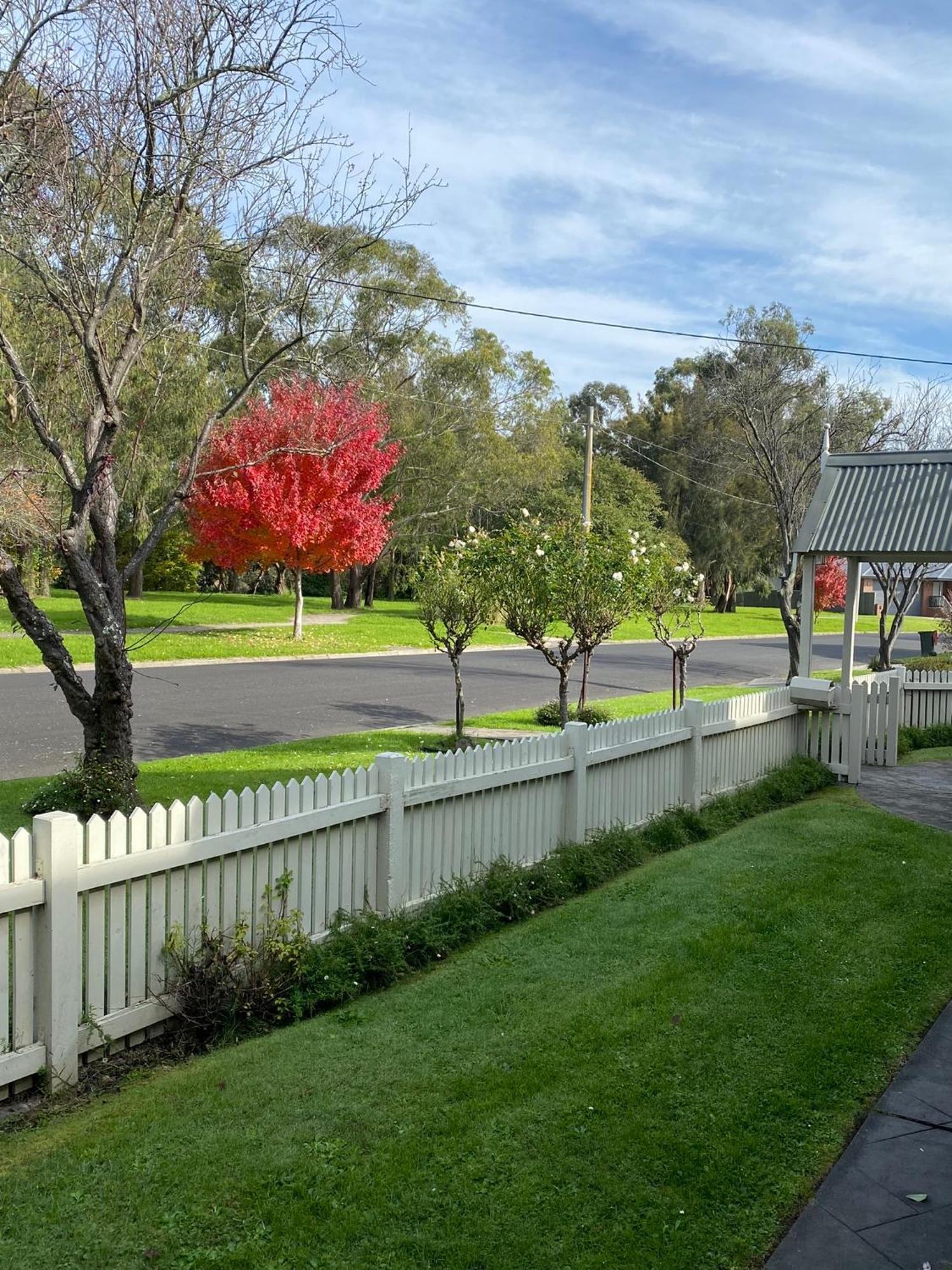 Creek Cottage Bed And Breakfast Traralgon Extérieur photo